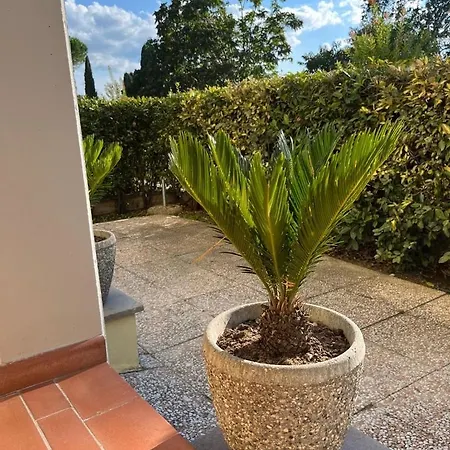 Apartamento My In *
